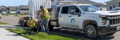 Forestry workers planting a tree on a neighborhood boulevard