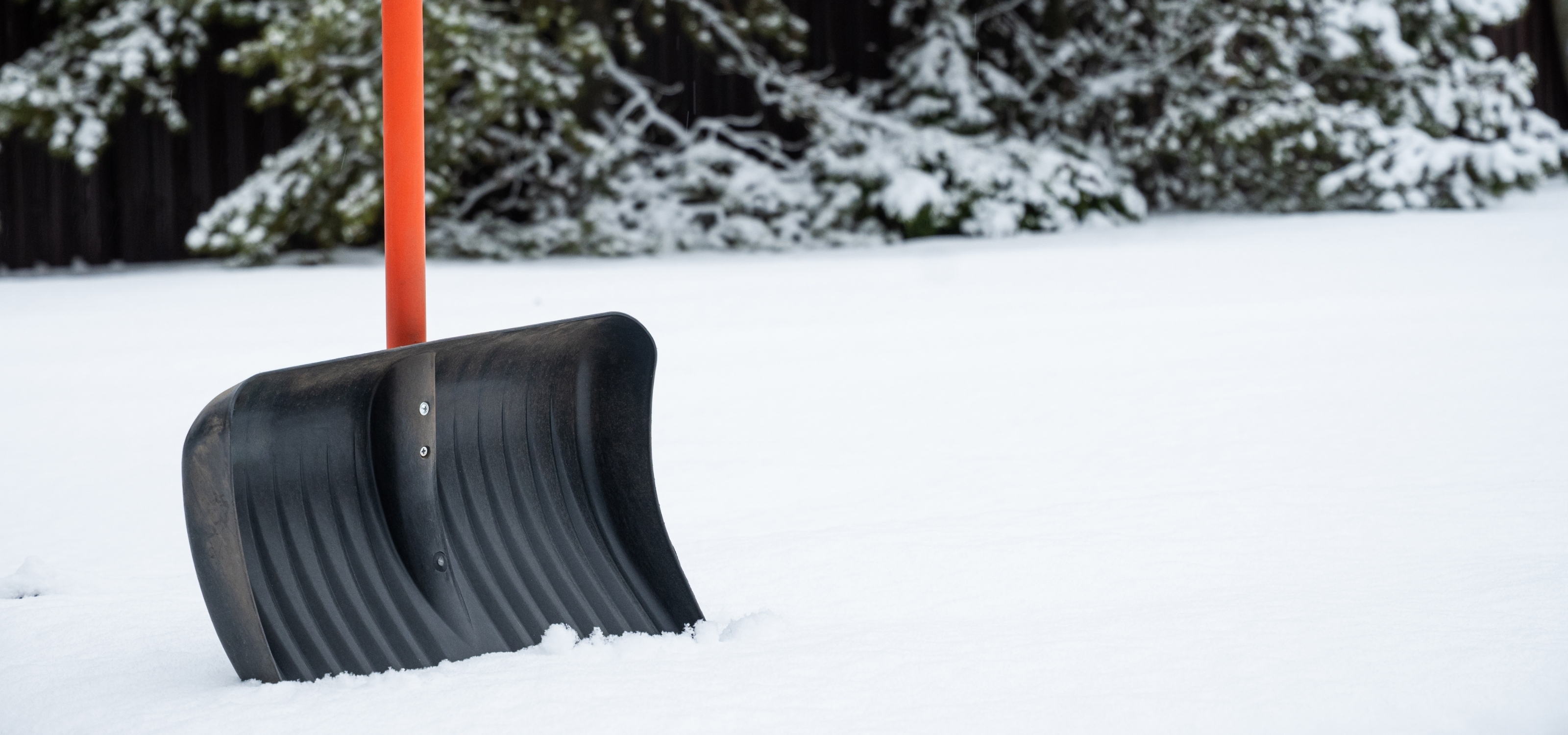 a shovel sits in snow
