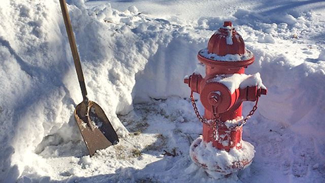 A fire hydrant is shoveled out of a snow drift