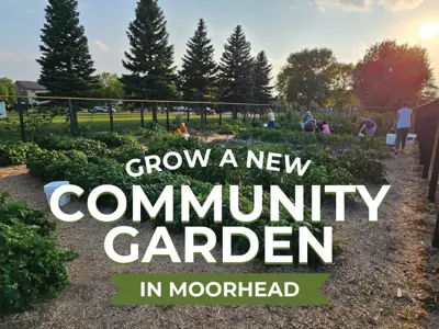 A photo of a garden with the sun setting in the background with the text Grow a New Community Garden in Moorhead