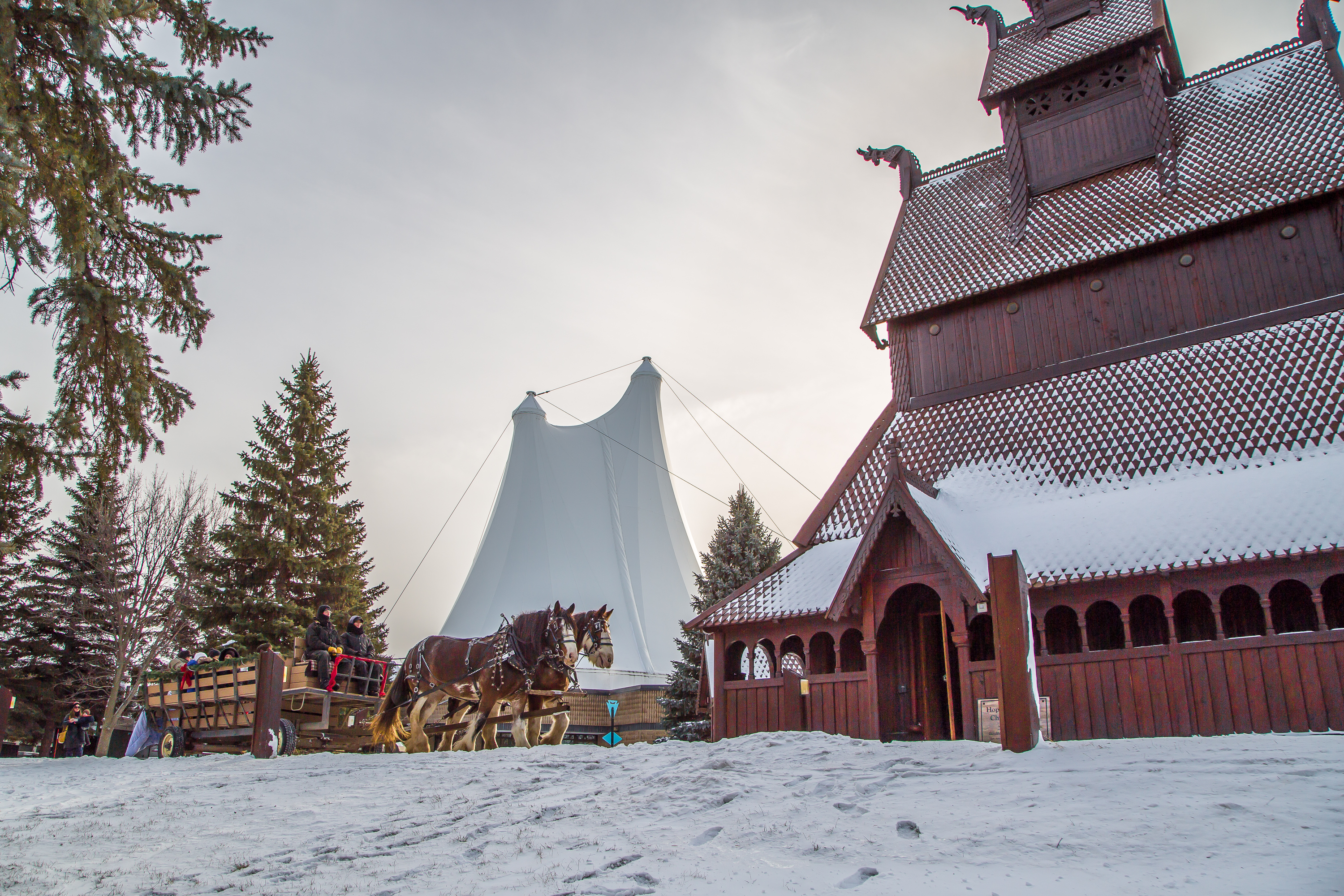 Hjemkomst and Stave Church with horses and carriage 